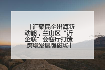 汇聚民企出海新动能，兰山区“沂企联”会客厅打造跨境发展强磁场