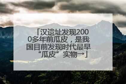 汉遗址发现2000多年前瓜皮，是我国目前发现时代最早“瓜皮”实物→
