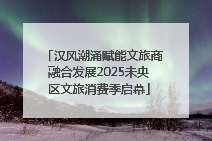 汉风潮涌赋能文旅商融合发展2025未央区文旅消费季启幕