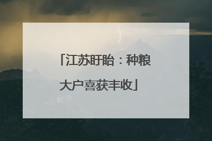 江苏盱眙：种粮大户喜获丰收