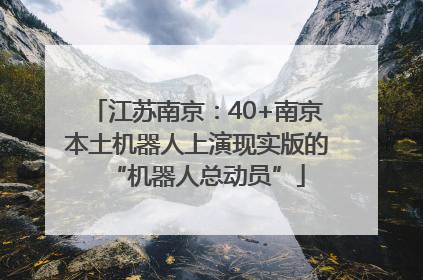 江苏南京：40+南京本土机器人上演现实版的“机器人总动员”