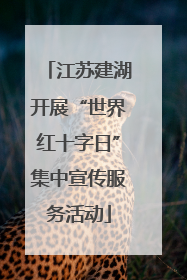江苏建湖开展“世界红十字日”集中宣传服务活动