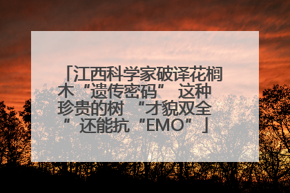 江西科学家破译花榈木“遗传密码” 这种珍贵的树 “才貌双全”还能抗“EMO”