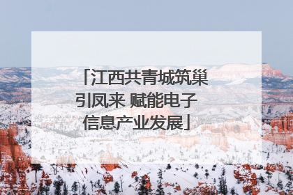 江西共青城筑巢引凤来 赋能电子信息产业发展