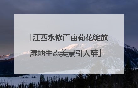 江西永修百亩荷花绽放 湿地生态美景引人醉