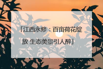 江西永修：百亩荷花绽放 生态美景引人醉
