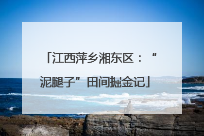 江西萍乡湘东区：“泥腿子”田间掘金记