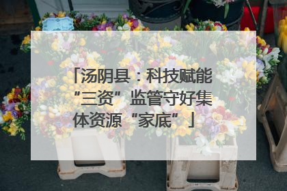 汤阴县：科技赋能“三资”监管守好集体资源“家底”