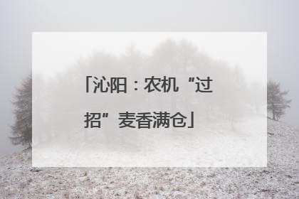 沁阳：农机“过招”麦香满仓