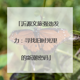 沂源文旅强劲发力：寻找旧时光里的新潮密码