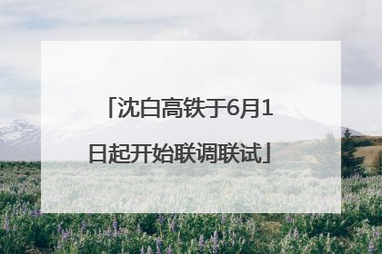 沈白高铁于6月1日起开始联调联试