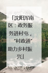 沈阳浑南区：政务服务进村屯，“村政通”助力乡村振兴