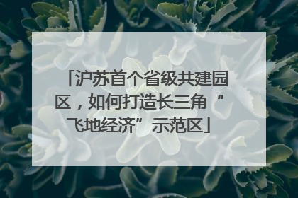 沪苏首个省级共建园区，如何打造长三角“飞地经济”示范区