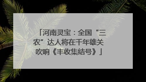 河南灵宝：全国“三农”达人将在千年雄关吹响《丰收集结号》