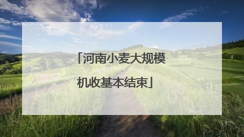 河南小麦大规模机收基本结束