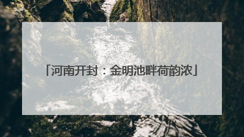 河南开封：金明池畔荷韵浓