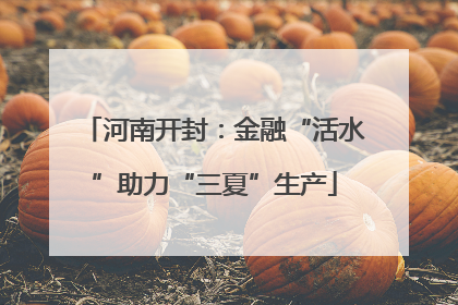 河南开封：金融“活水”助力“三夏”生产