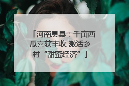 河南息县：千亩西瓜喜获丰收 激活乡村“甜蜜经济”