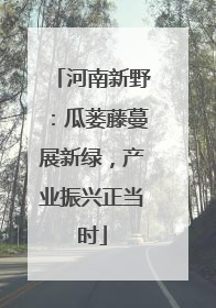 河南新野：瓜蒌藤蔓展新绿，产业振兴正当时