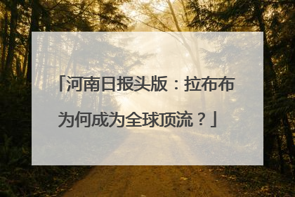 河南日报头版：拉布布为何成为全球顶流？