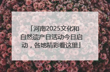 河南2025文化和自然遗产日活动今日启动，各地精彩看这里