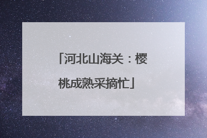 河北山海关：樱桃成熟采摘忙