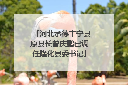 河北承德丰宁县原县长曾庆鹏已调任隆化县委书记