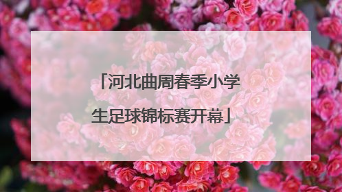 河北曲周春季小学生足球锦标赛开幕