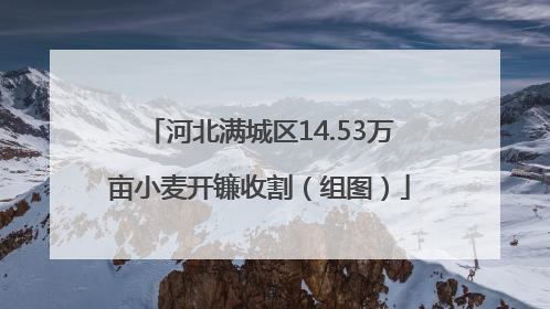 河北满城区14.53万亩小麦开镰收割（组图）