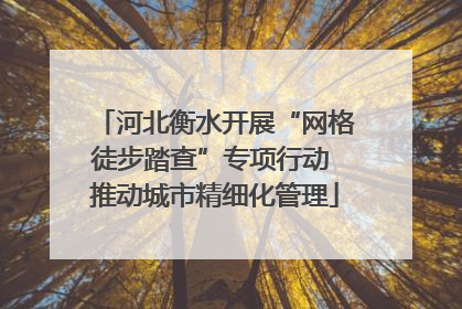 河北衡水开展“网格徒步踏查”专项行动 推动城市精细化管理