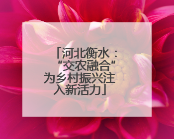 河北衡水：“交农融合”为乡村振兴注入新活力