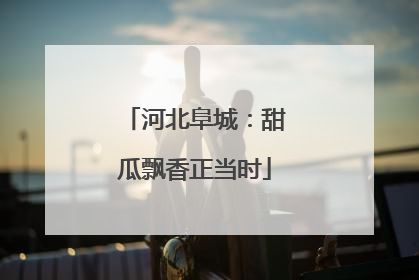 河北阜城：甜瓜飘香正当时