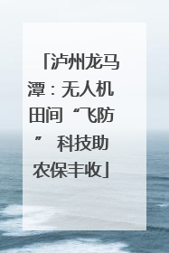泸州龙马潭：无人机田间“飞防” 科技助农保丰收