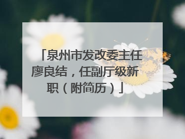 泉州市发改委主任廖良结，任副厅级新职（附简历）