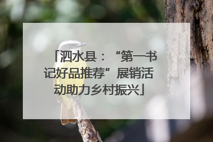 泗水县：“第一书记好品推荐”展销活动助力乡村振兴