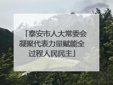 泰安市人大常委会凝聚代表力量赋能全过程人民民主