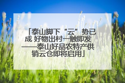 泰山脚下“云”势已成 好物出村一触即发——泰山好品农特产供销云仓即将启用