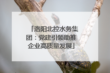 洛阳北控水务集团：党建引领助推企业高质量发展