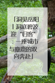 洞见岳阳丨洞庭碧波迎“归客”：一座城市与麋鹿的双向奔赴