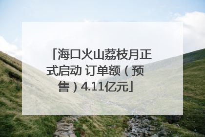 海口火山荔枝月正式启动 订单额（预售）4.11亿元