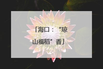 海口：“琼山福稻”香