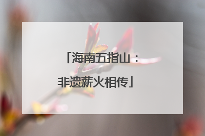 海南五指山：非遗薪火相传