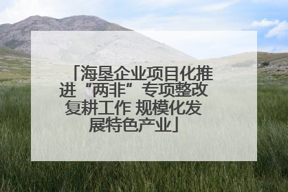 海垦企业项目化推进“两非”专项整改复耕工作 规模化发展特色产业