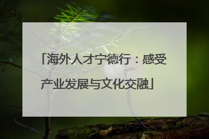 海外人才宁德行：感受产业发展与文化交融