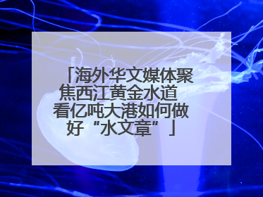 海外华文媒体聚焦西江黄金水道 看亿吨大港如何做好“水文章”