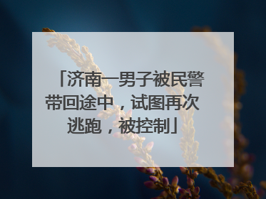 济南一男子被民警带回途中，试图再次逃跑，被控制