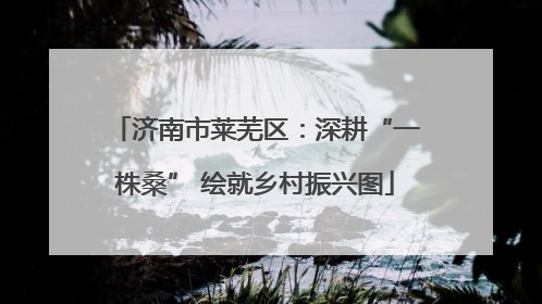 济南市莱芜区：深耕“一株桑” 绘就乡村振兴图