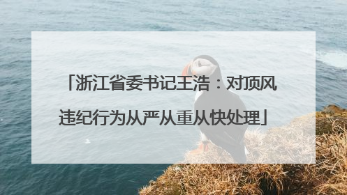 浙江省委书记王浩：对顶风违纪行为从严从重从快处理
