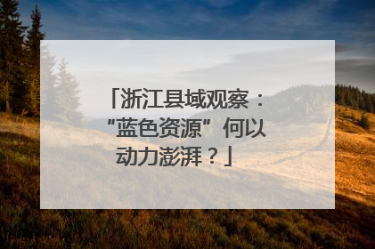 浙江县域观察：“蓝色资源”何以动力澎湃？