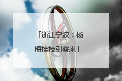 浙江宁波：杨梅挂枝引客来